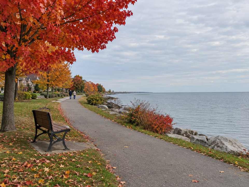 Autumn maple leaves along an Oakville lakeshore park path