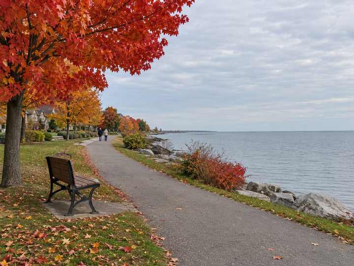 Autumn maple leaves along an Oakville lakeshore park path